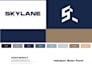 create a professional brand identity with logo and visual style